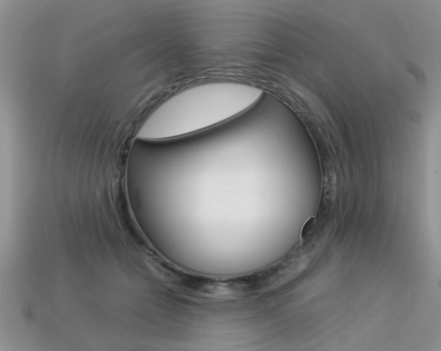X0000113310558200909141008