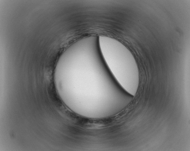 X0000113310559200909141008