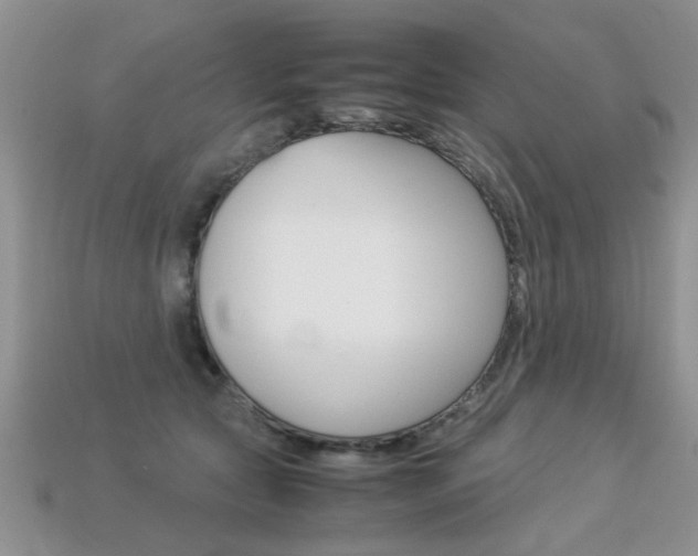 X0000113310561200909141008