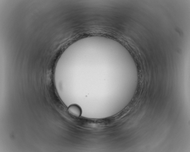 X0000113310563200909141008