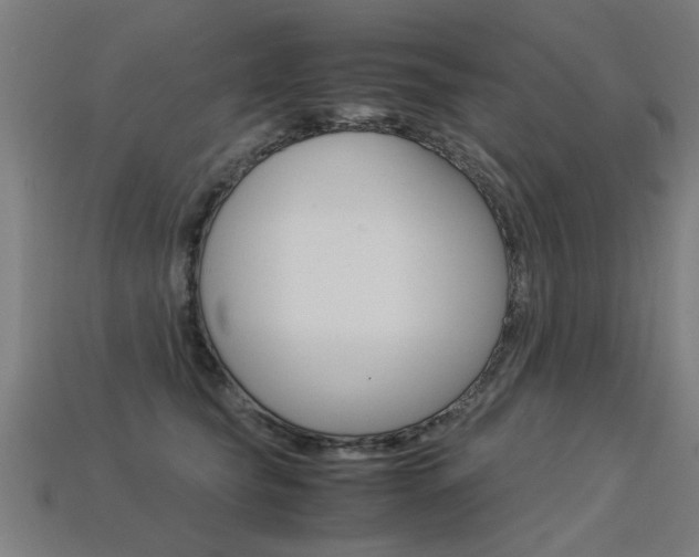 X0000113310565200909141008
