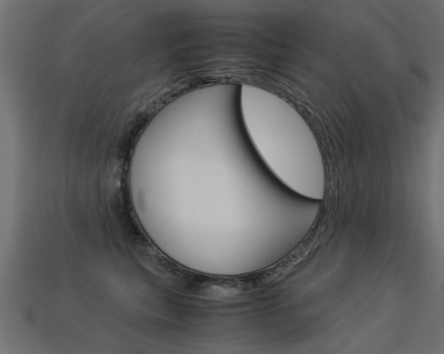 X0000113310567200909141008