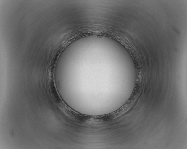 X0000113310568200909141008