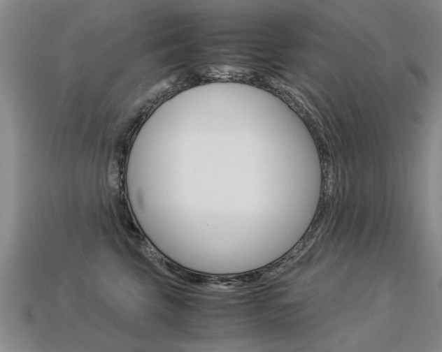 X0000113310569200909141008