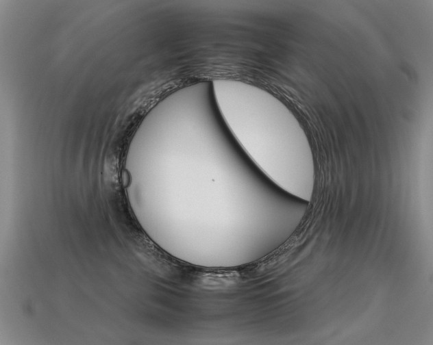 X0000113310571200909141008