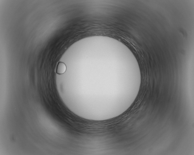 X0000113310572200909141008