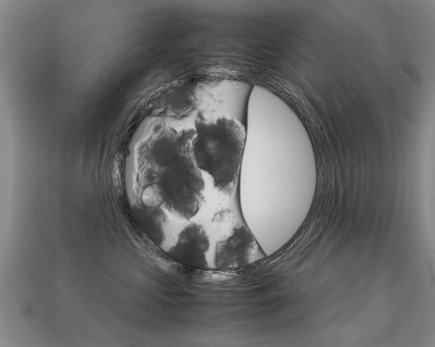 X0000113310573200909141008