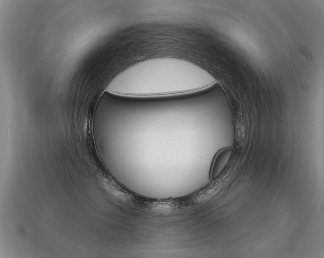 X0000113310574200909141008