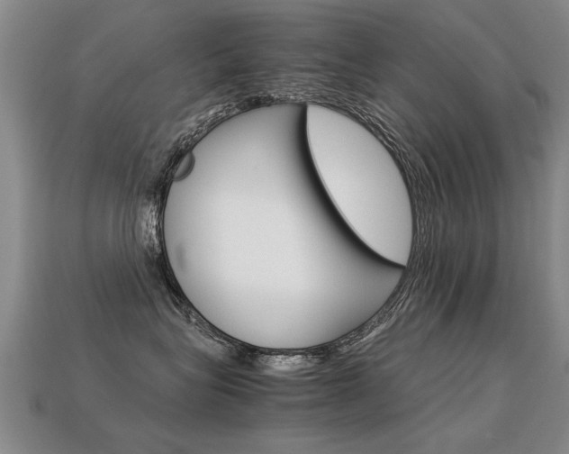 X0000113310575200909141008