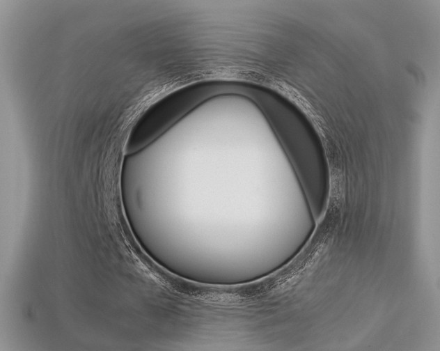 X0000113310577200909141008