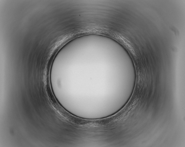 X0000113310578200909141008