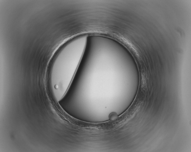 X0000113310580200909141008