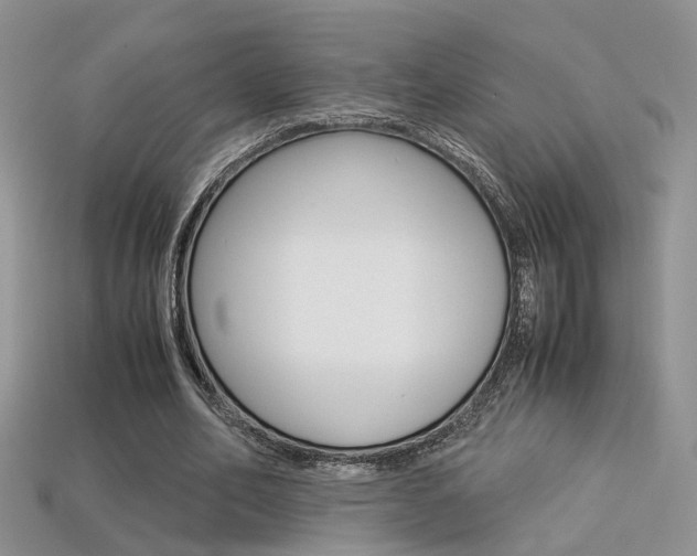 X0000113310582200909141008