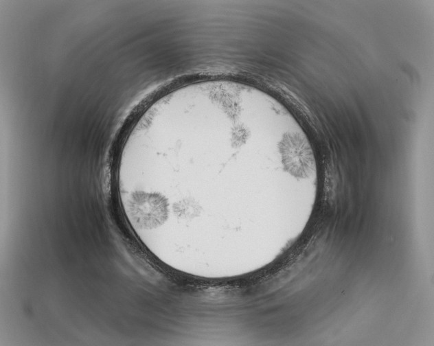 X0000113310584200909141008