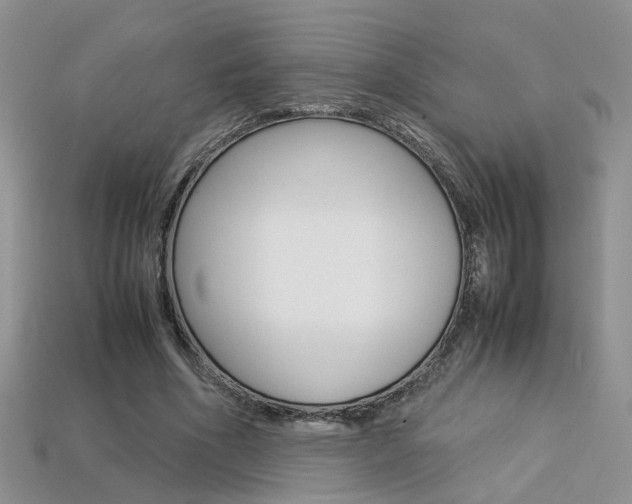 X0000113310586200909141008