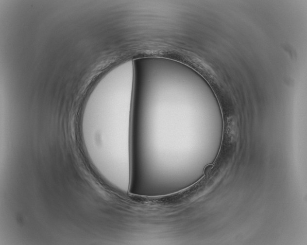 X0000113310589200909141007