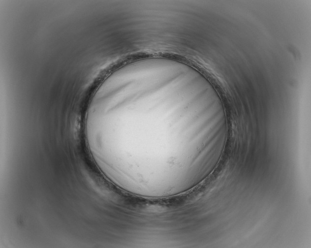 X0000113310592200909141007