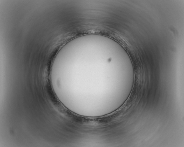 X0000113310594200909141007