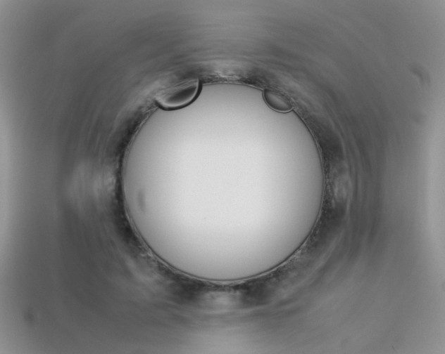 X0000113310595200909141007