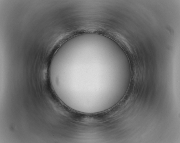 X0000113310596200909141007