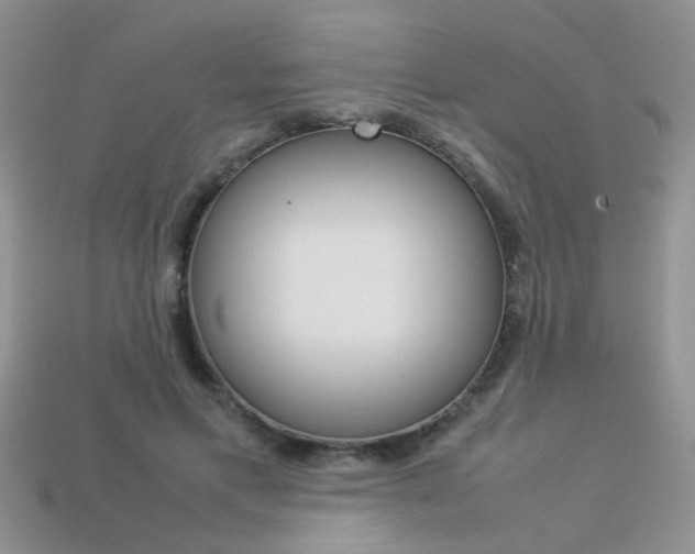 X0000113310597200909141007