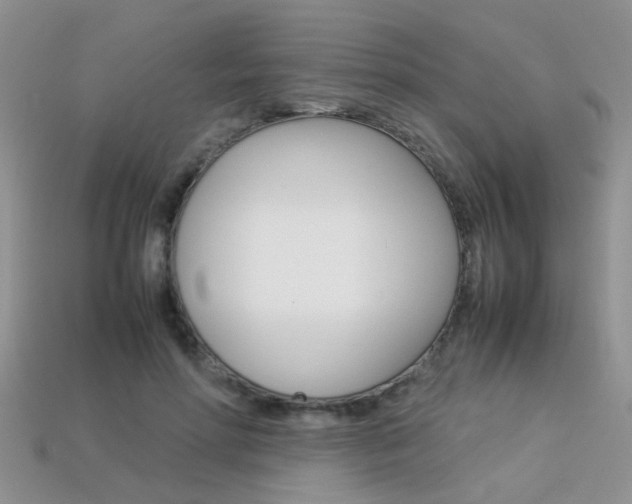 X0000113310598200909141007