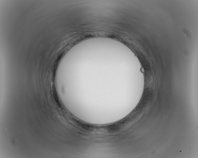 X0000113310599200909141007