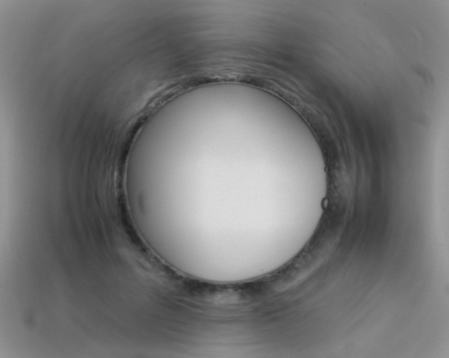 X0000113310600200909141007