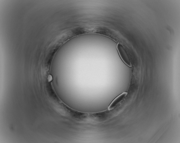 X0000113310601200909141007
