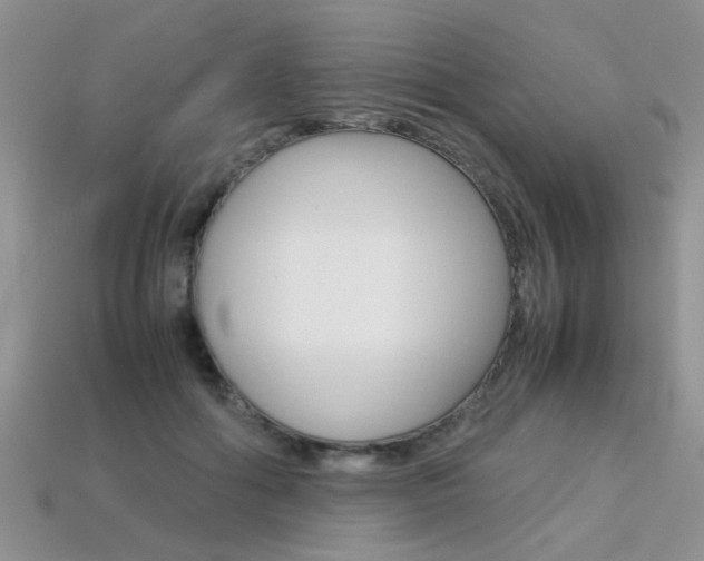 X0000113310602200909141007