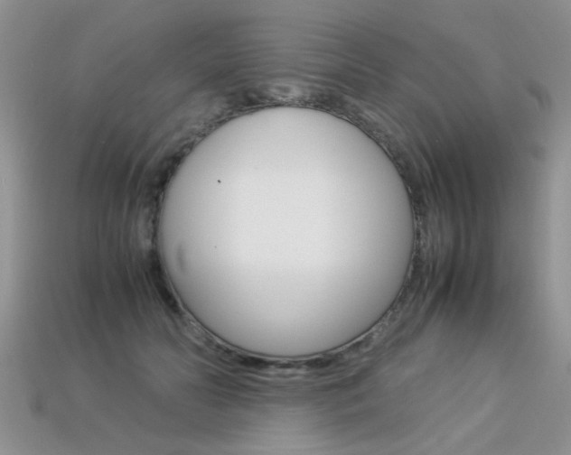 X0000113310606200909141007