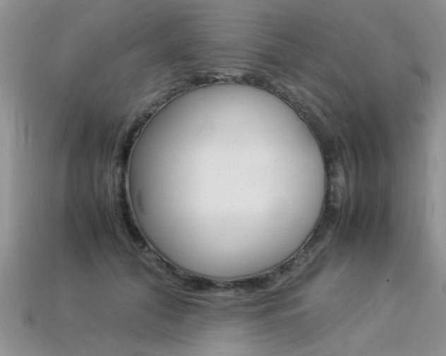 X0000113310608200909141007