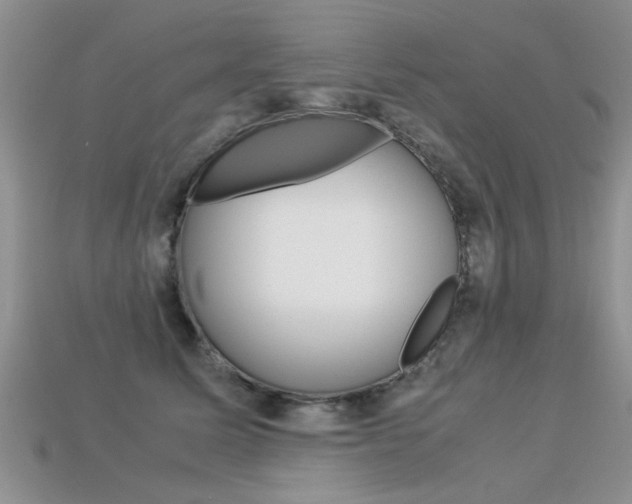 X0000113310611200909141007