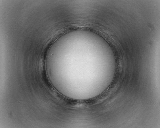 X0000113310612200909141007