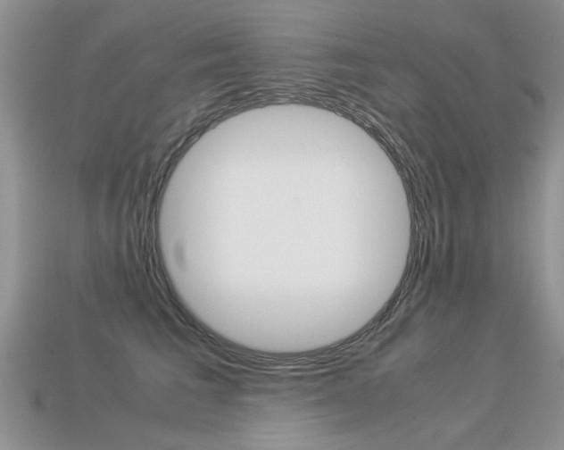 X0000113310613200909141007