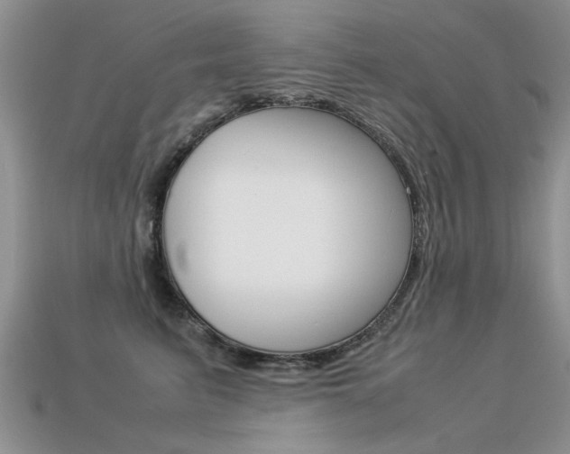 X0000113310615200909141007