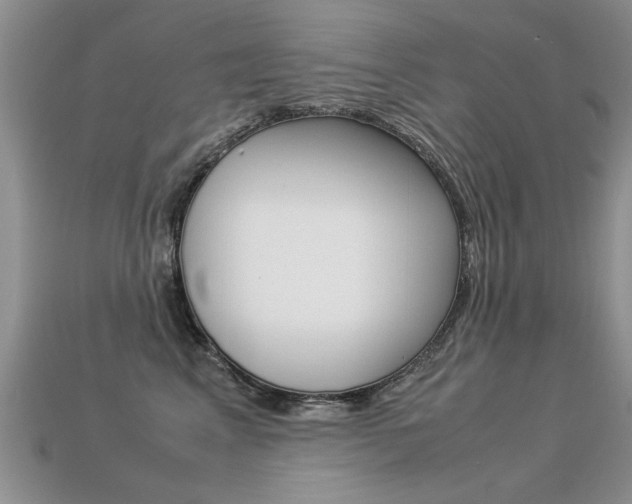X0000113310617200909141007