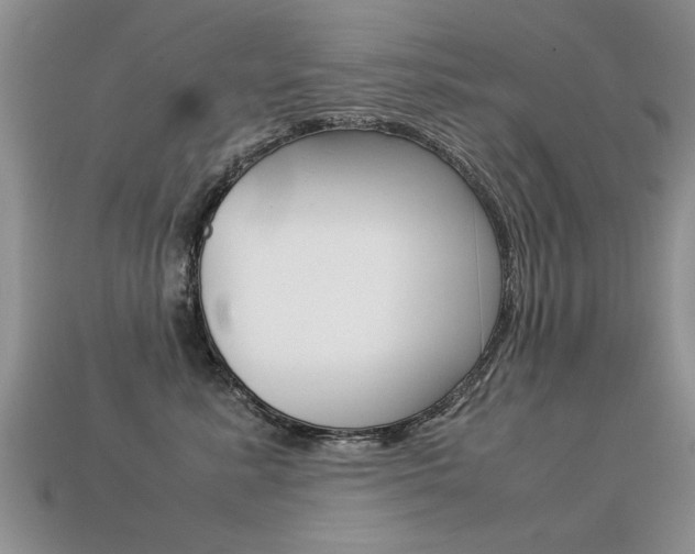 X0000113310619200909141007