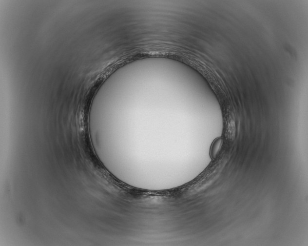 X0000113310620200909141007