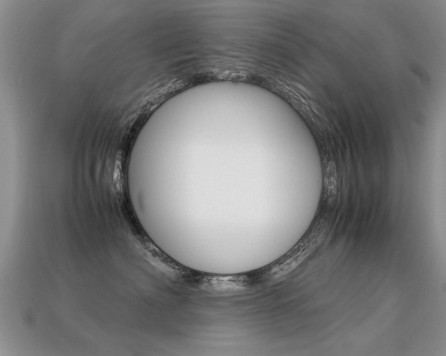 X0000113310622200909141007