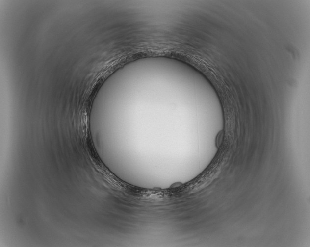 X0000113310624200909141007
