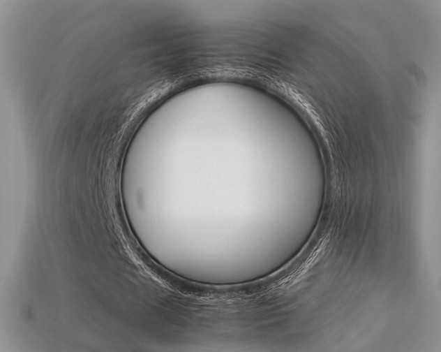 X0000113310625200909141006