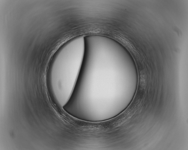 X0000113310626200909141006