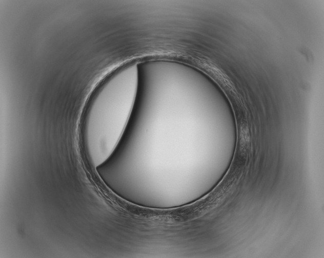 X0000113310628200909141006