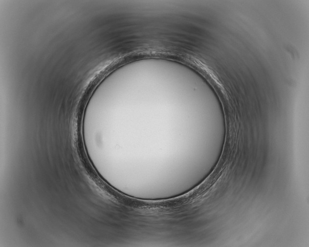 X0000113310629200909141006