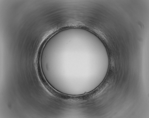 X0000113310630200909141006