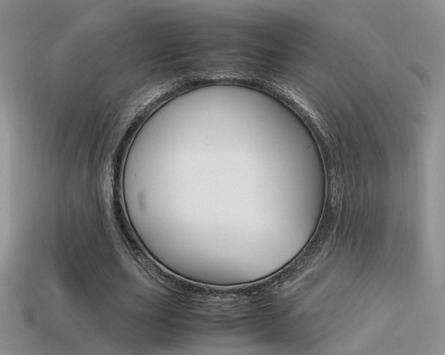 X0000113310631200909141007