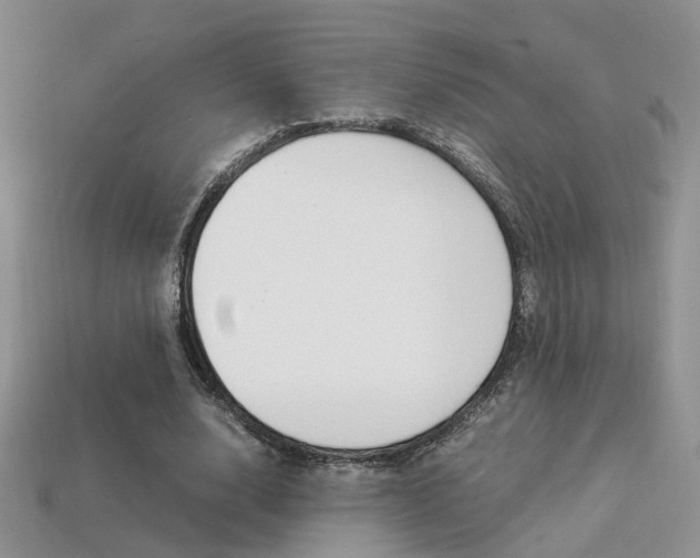 X0000113310632200909141007