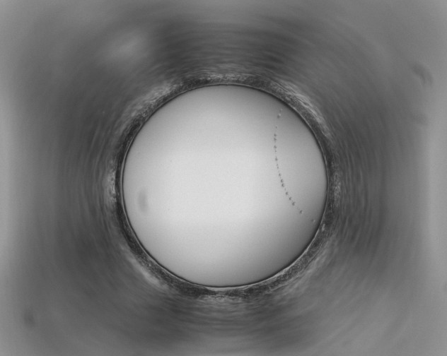 X0000113310633200909141007