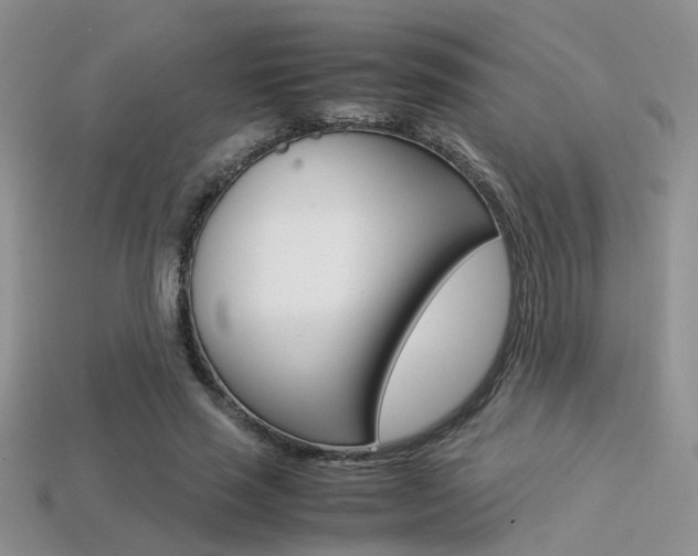 X0000113310637200909141007